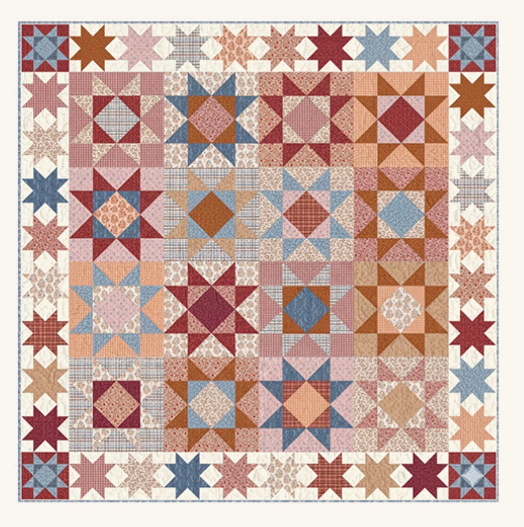 Quilt Kit for Bari J Quilt-a-long