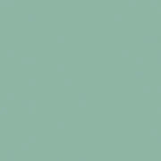 C120-Pistachio|Confetti Cotton™ | Riley Blake Designs