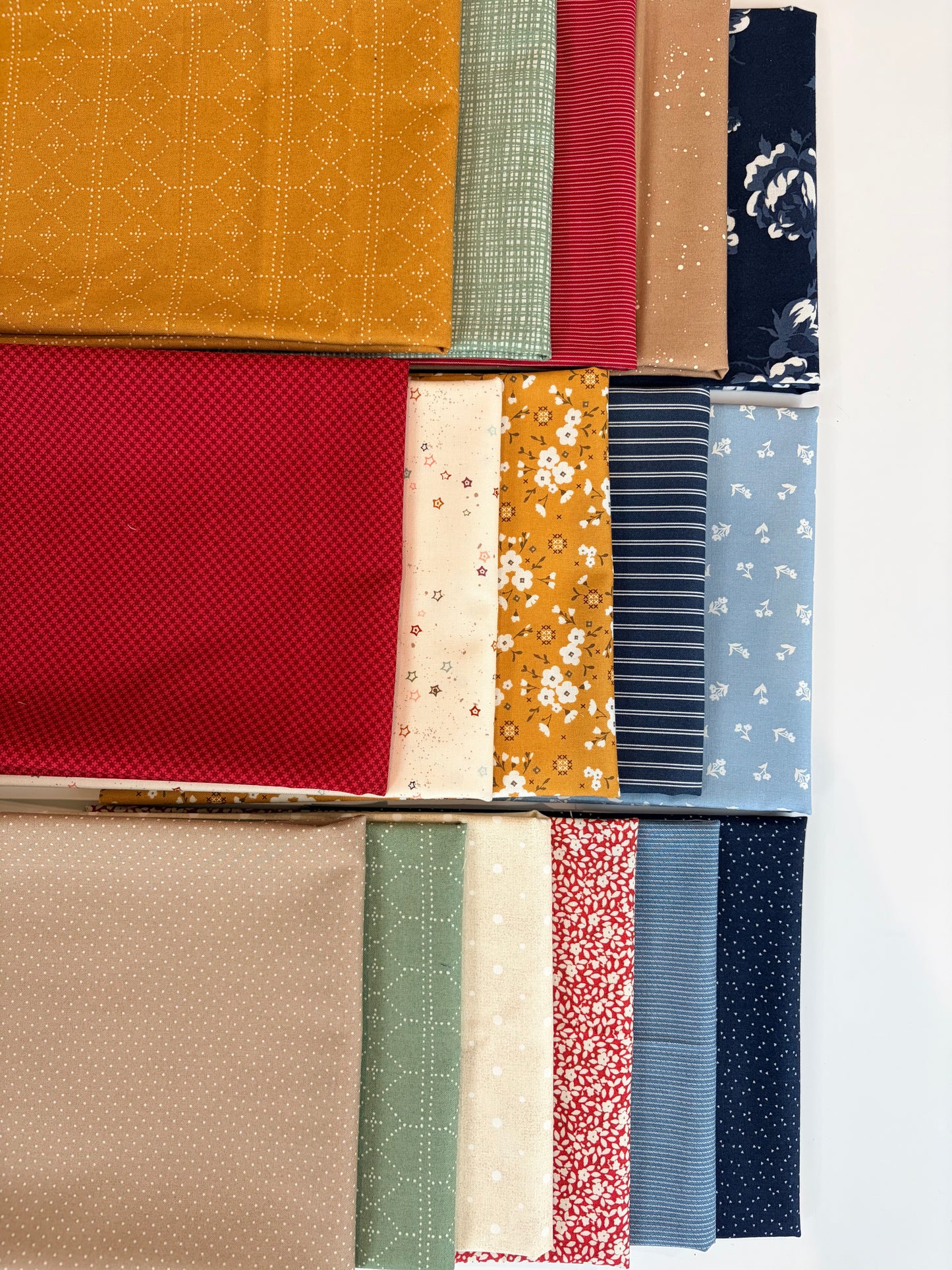 Quilt Kit for Bari J Quilt-a-long