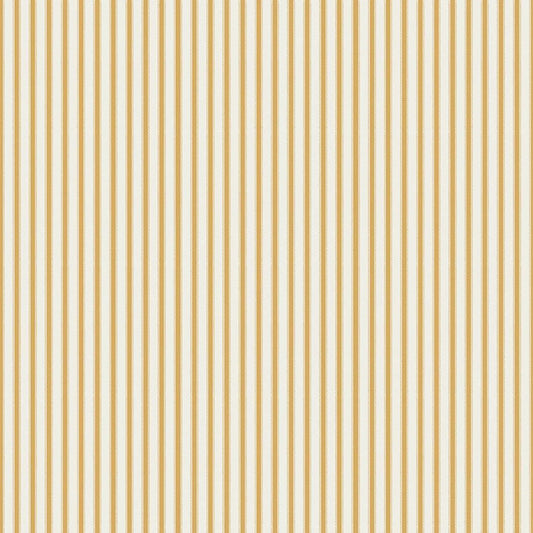 Ivy Reese Ticking Golden |C16605-GOLDEN