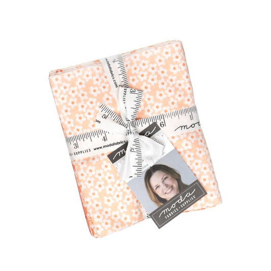 PREORDER Popcorn Fat Quarter bundle | Elizabeth Hartman | Moda Fabrics
