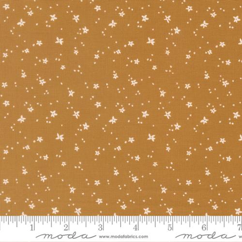Peachy Honey | Peachy Fabric Collection | Designed by Jessica Rose of Quiltd | Moda Fabrics | 38159 20